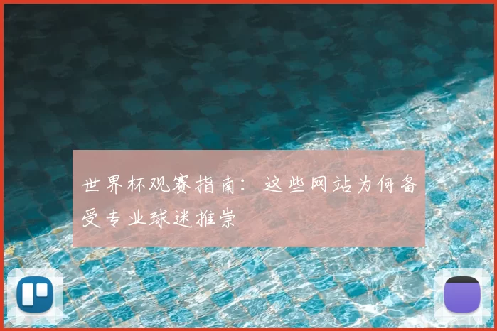世界杯观赛指南：这些网站为何备受专业球迷推崇