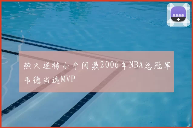 热火逆转小牛问鼎2006年NBA总冠军韦德当选MVP