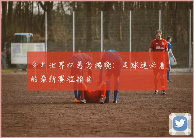 今年世界杯悬念揭晓：足球迷必看的最新赛程指南