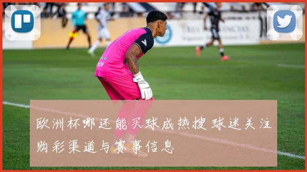 欧洲杯哪还能买球成热搜 球迷关注购彩渠道与赛事信息