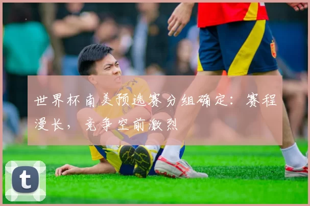 世界杯南美预选赛分组确定:赛程漫长,竞争空前激烈