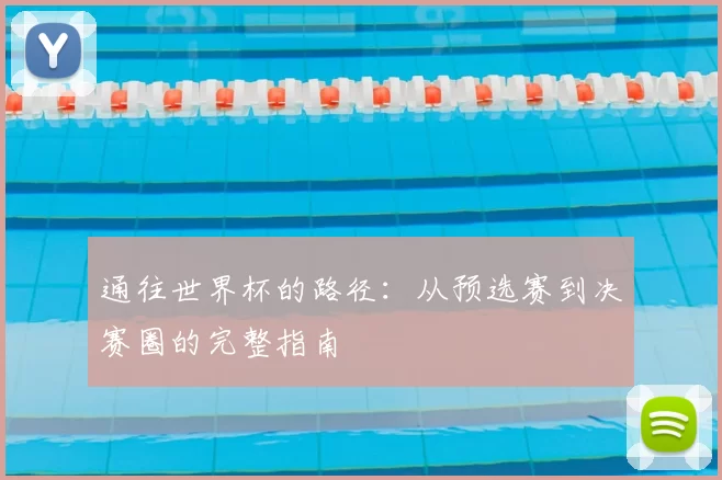 通往世界杯的路径：从预选赛到决赛圈的完整指南
