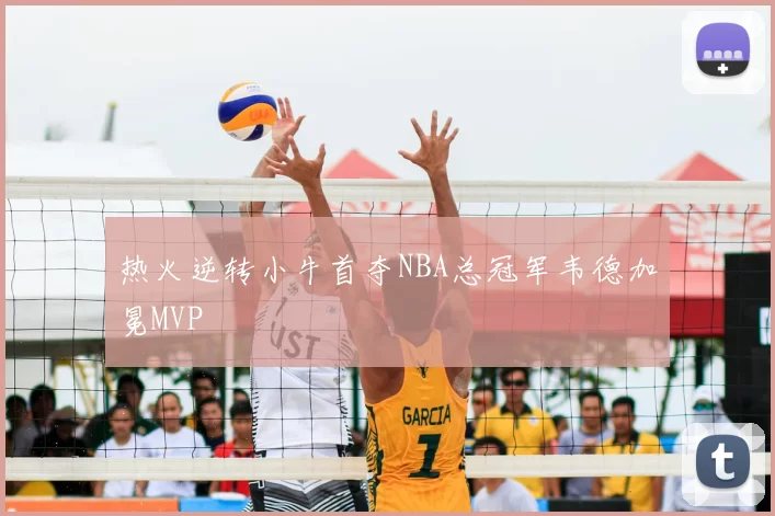热火逆转小牛首夺NBA总冠军韦德加冕MVP