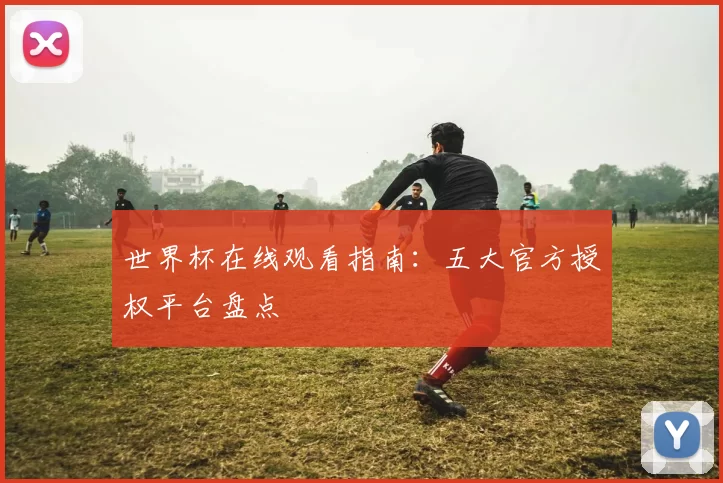 世界杯在线观看指南：五大官方授权平台盘点