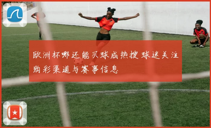 欧洲杯哪还能买球成热搜 球迷关注购彩渠道与赛事信息