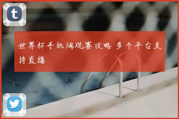 世界杯手机端观赛攻略 多个平台支持直播