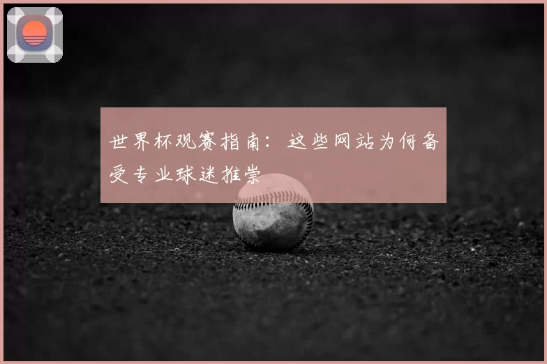 世界杯观赛指南：这些网站为何备受专业球迷推崇