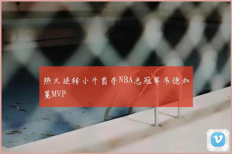 热火逆转小牛首夺NBA总冠军韦德加冕MVP