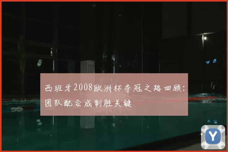 西班牙2008欧洲杯夺冠之路回顾:团队配合成制胜关键