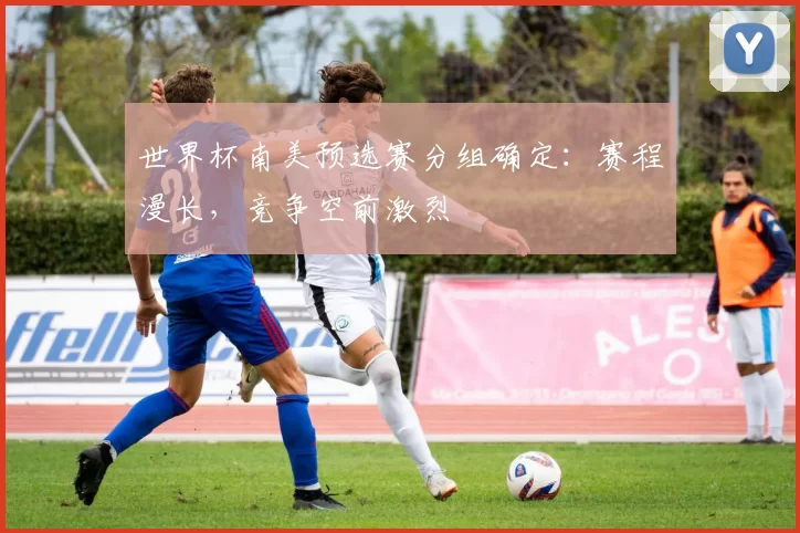 世界杯南美预选赛分组确定:赛程漫长,竞争空前激烈