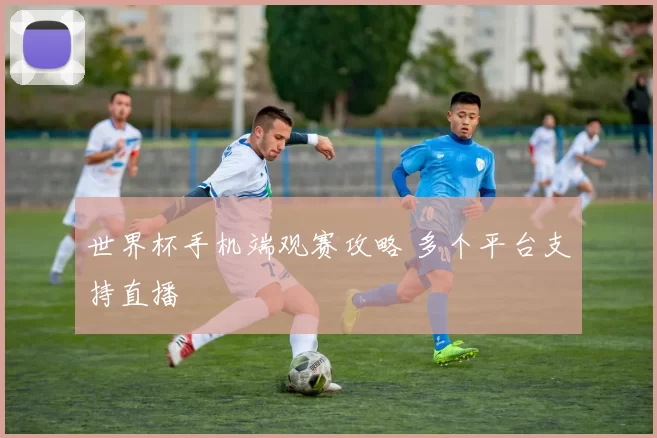 世界杯手机端观赛攻略 多个平台支持直播