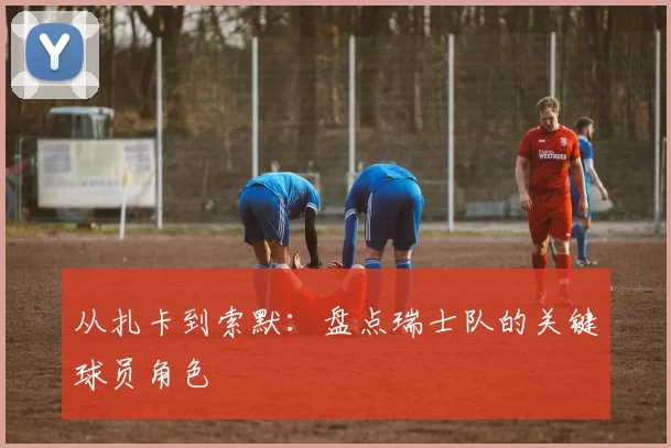 从扎卡到索默：盘点瑞士队的关键球员角色